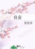 良妾小说